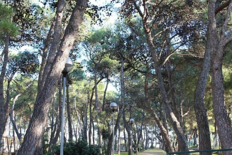 B&B La Pigna image