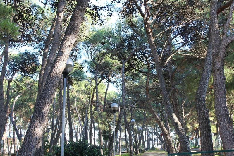 B&B La Pigna image