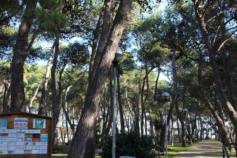 B&B La Pigna image