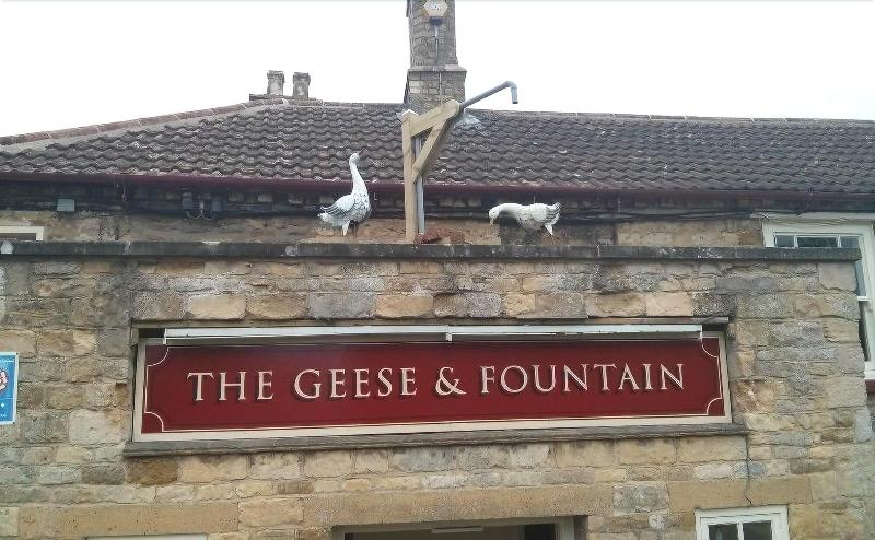 The Geese And Fountain