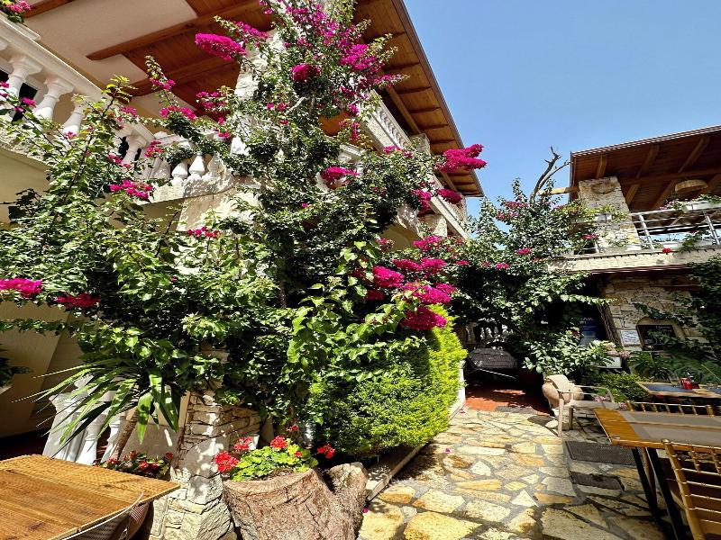 Vila Rias image