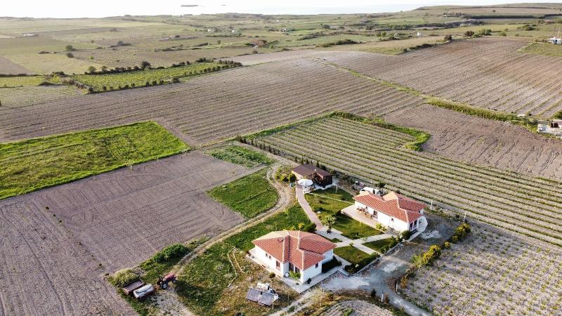 Karina Vineyard House image
