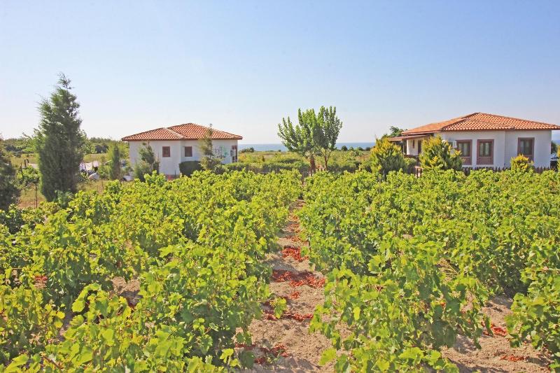Karina Vineyard House image