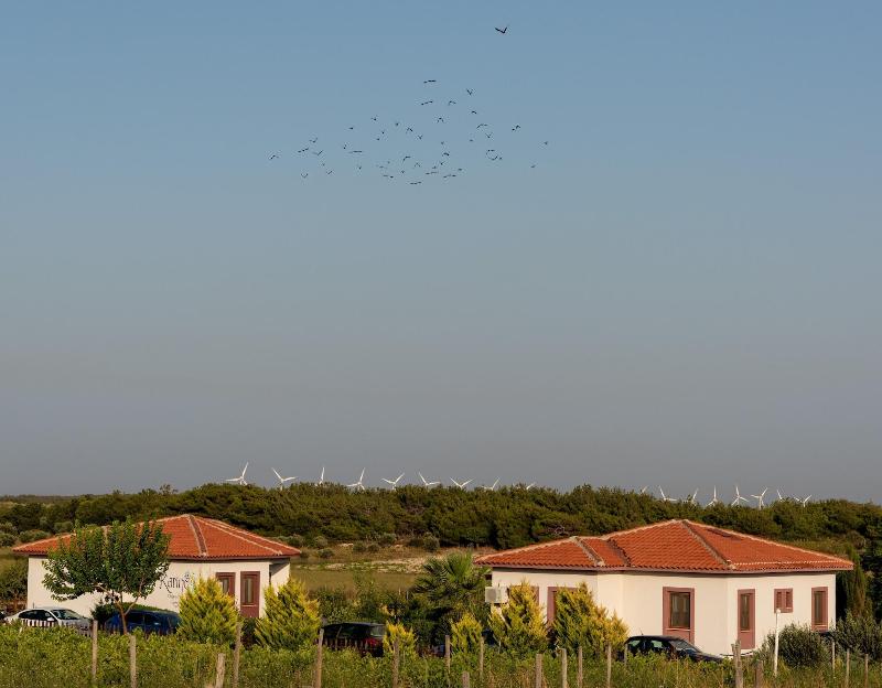 Karina Vineyard House image