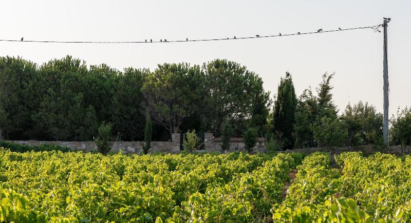 Karina Vineyard House image