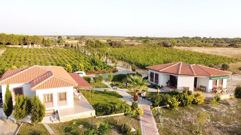 Karina Vineyard House image