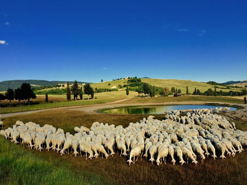 Relais Val d'Orcia image