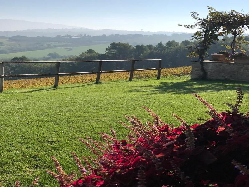 Genius Loci Country Inn image