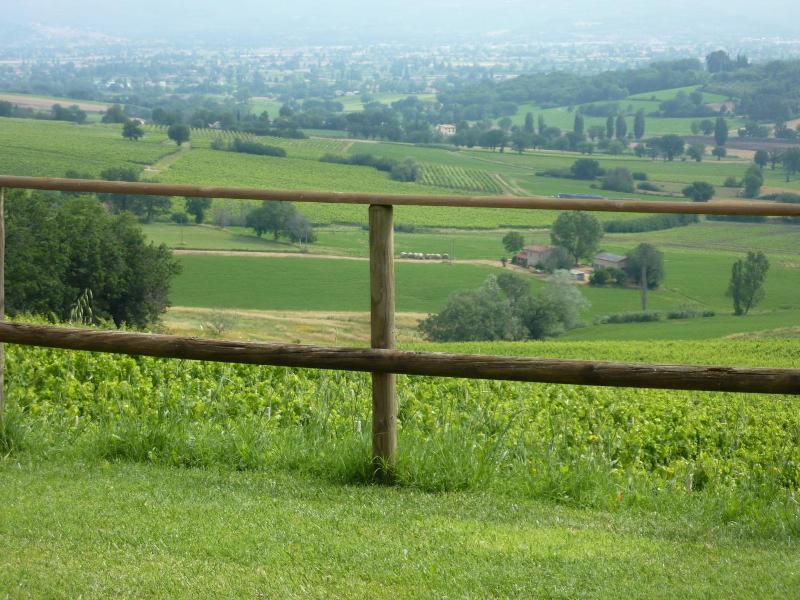 Genius Loci Country Inn image