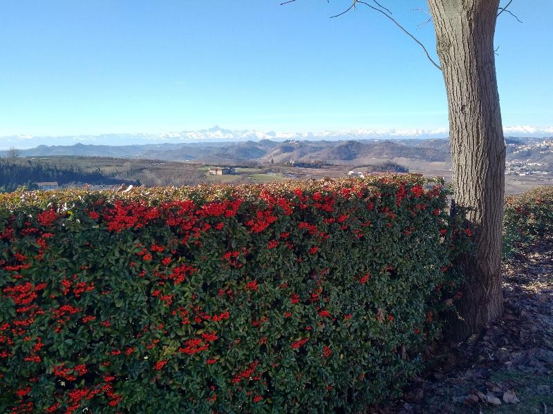 Cascina Cortine image