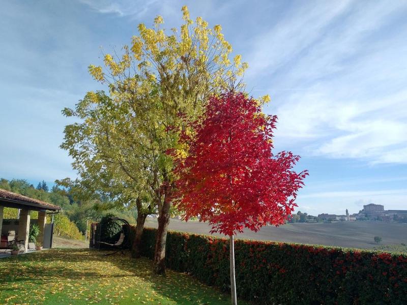 Cascina Cortine image