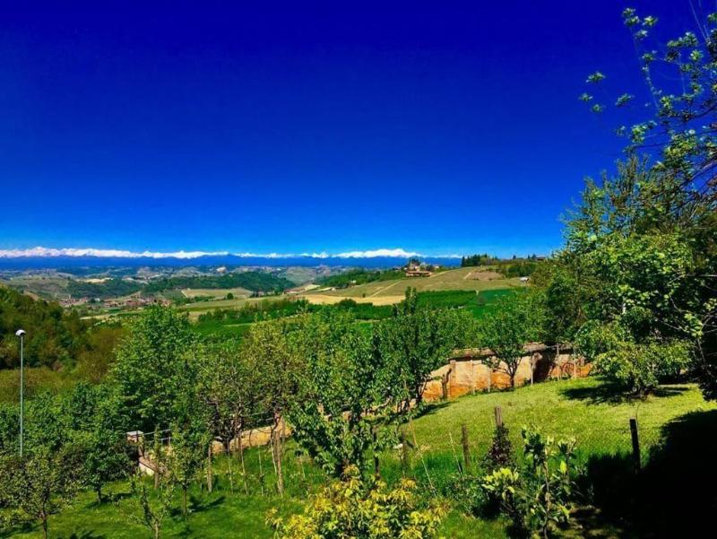 Cascina Cortine image
