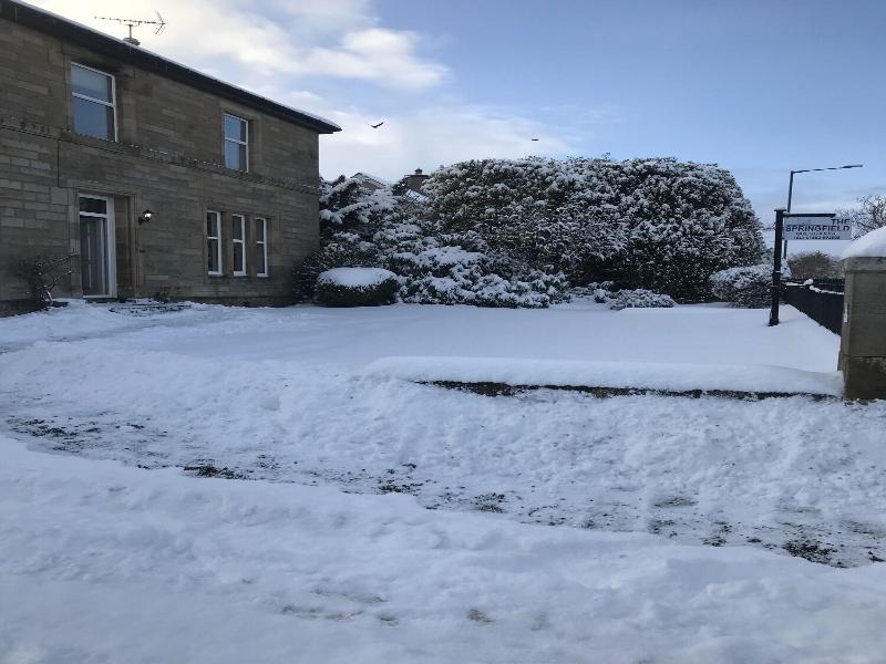 Springfield Guesthouse image