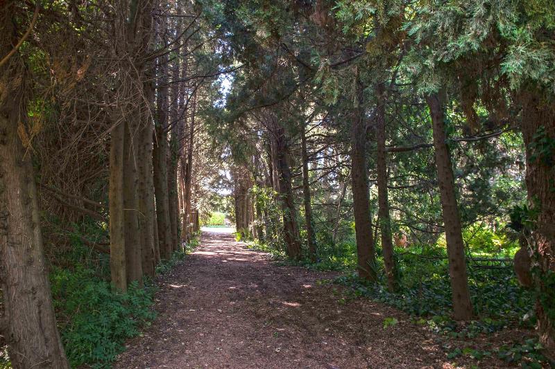 Etna Botanic Garden image