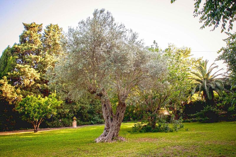 Etna Botanic Garden image