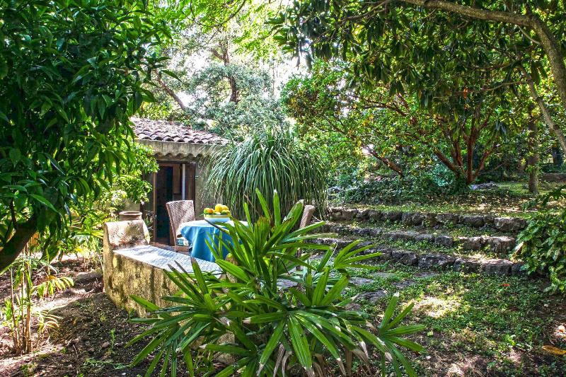 Etna Botanic Garden image