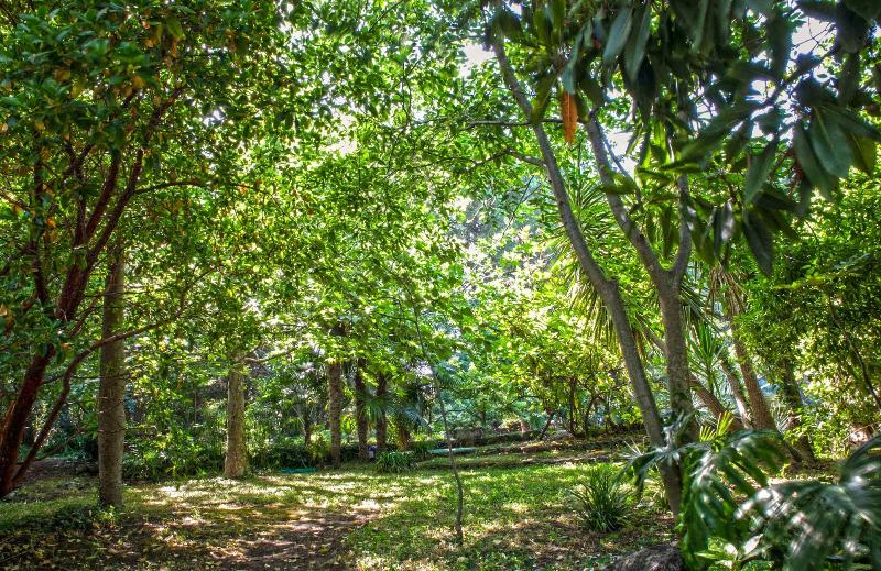 Etna Botanic Garden image
