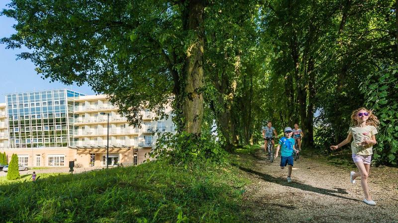 Gotthard Therme Hotel & Conference image