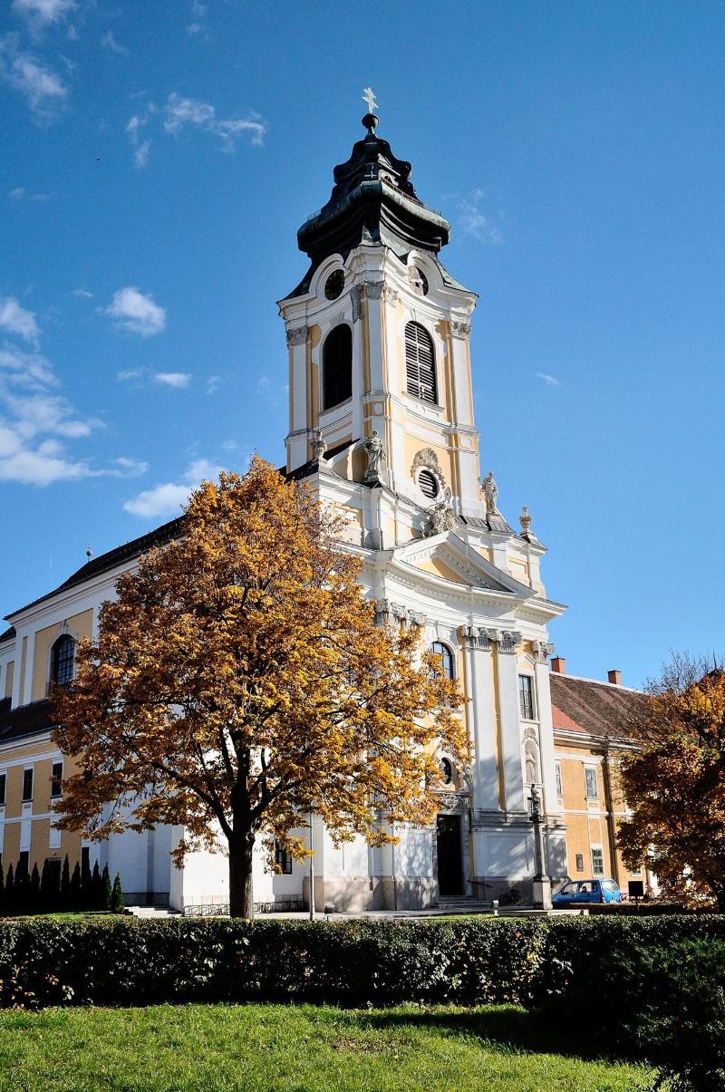 Gotthard Therme Hotel & Conference image