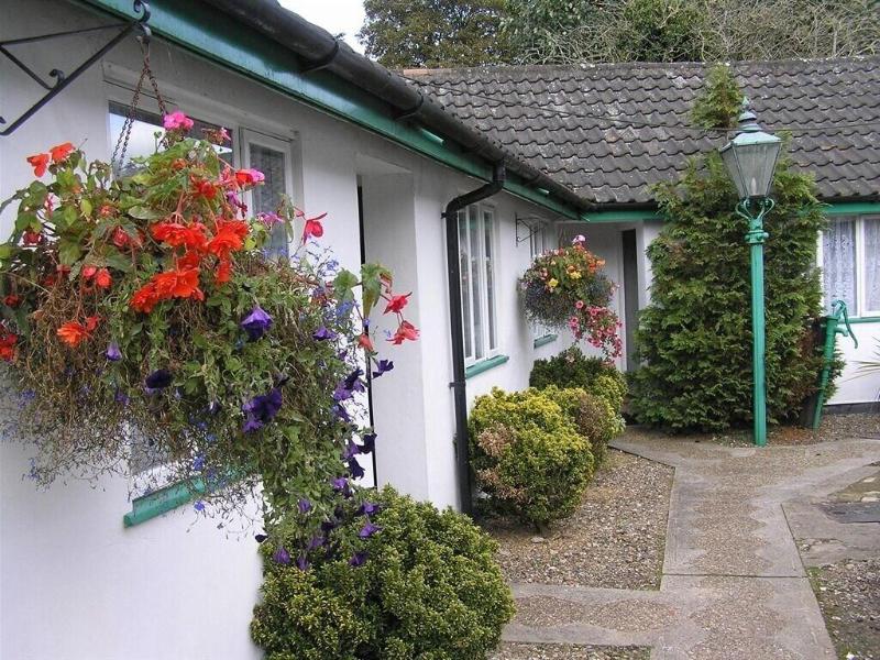 The Willow House image