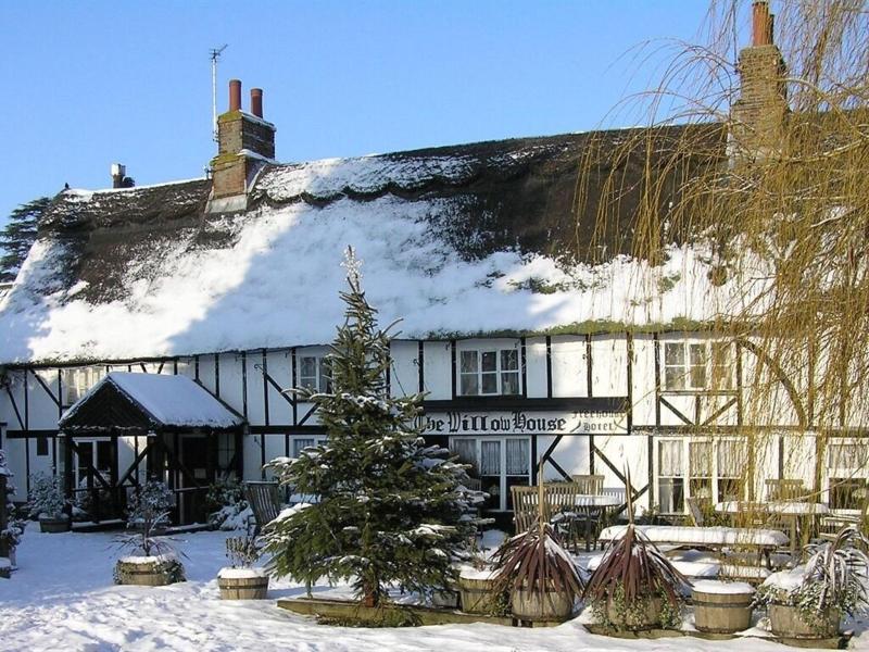 The Willow House image