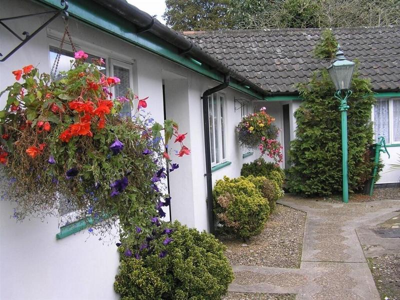 The Willow House image