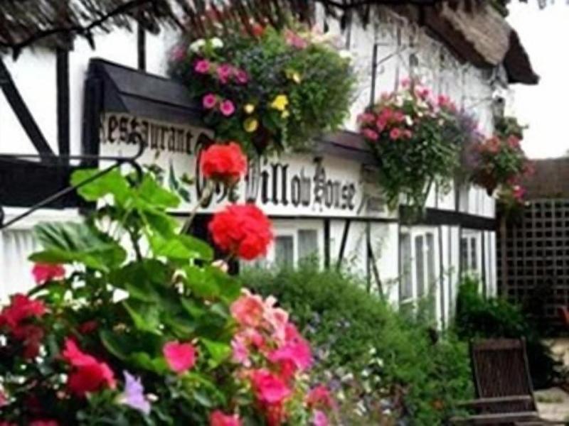 The Willow House image