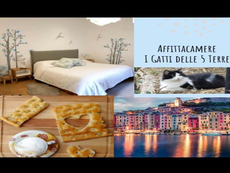 Affittacamere I Gatti Delle 5 Terre image