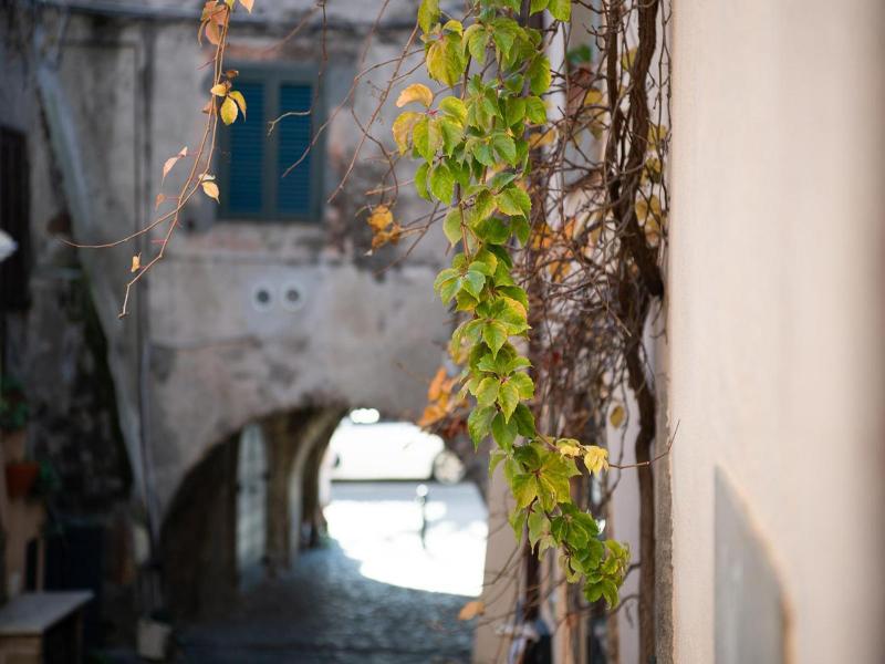 Borgo Vistalago image