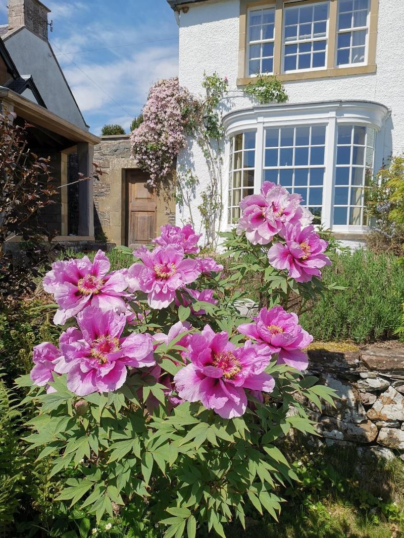 Bowden House B&B image