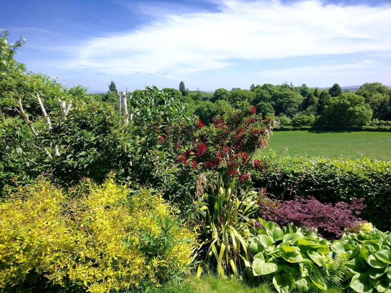Bowden House B&B image