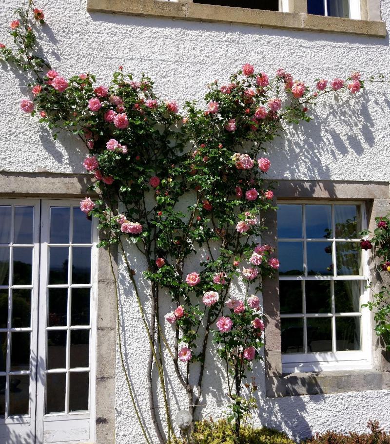 Bowden House B&B image