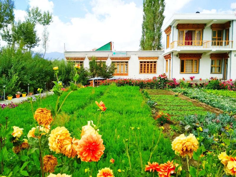 Leh Stumpa — general view
