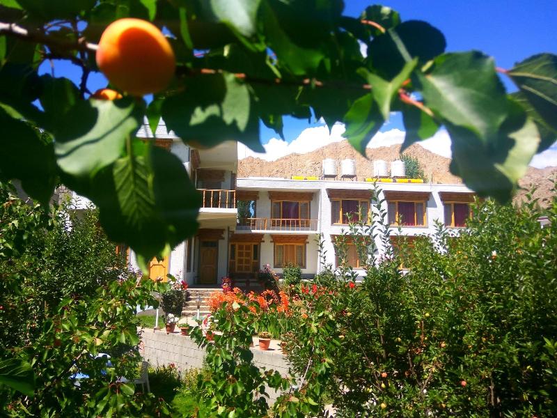 Leh Stumpa — general view