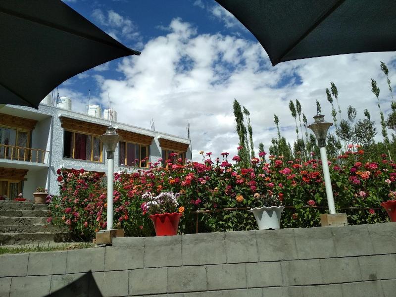 Leh Stumpa — general view