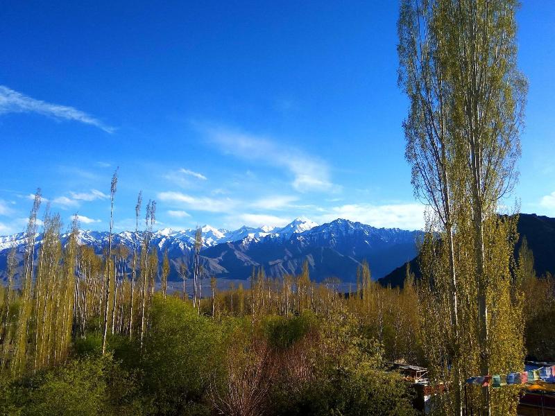 Leh Stumpa image