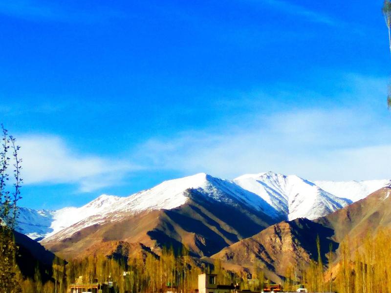 Leh Stumpa image