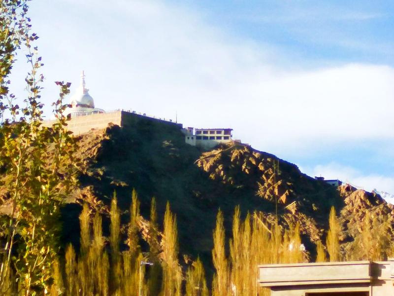Leh Stumpa image
