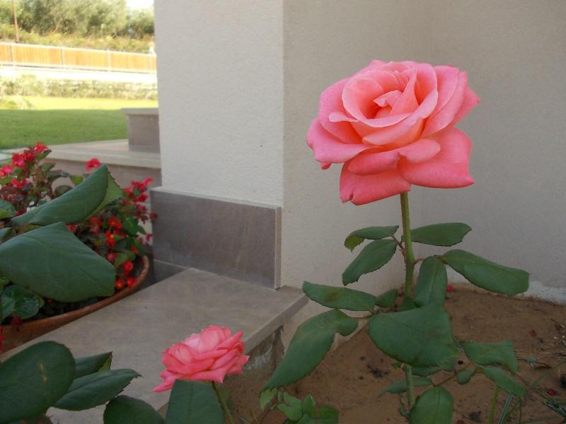 Villa Lauro Luxury B&B image
