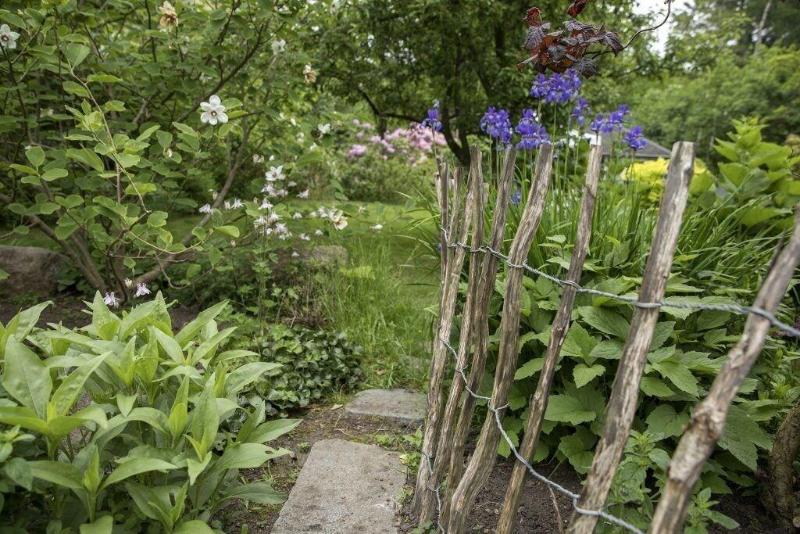 Bed And Breakfast Horsens image