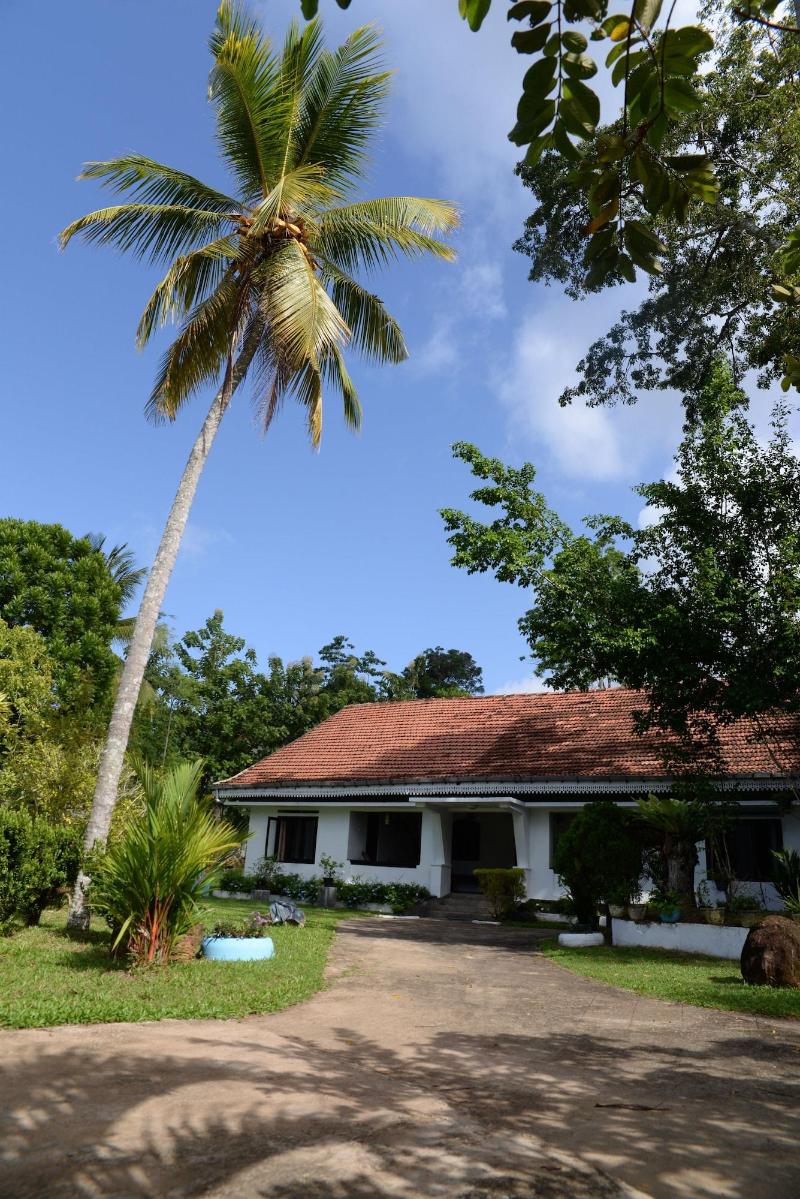 Maggie Garden Hostel — photo 4