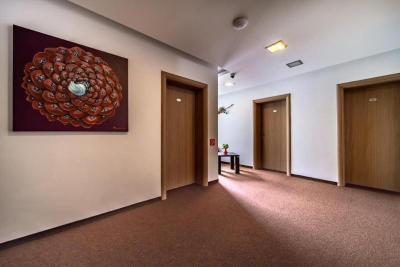 Hotel Nikola image