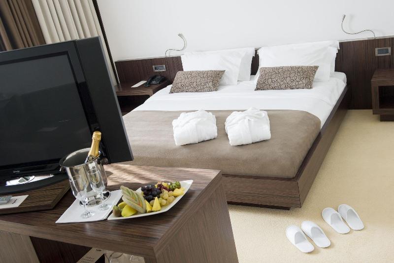 Hotel Safir Casino image