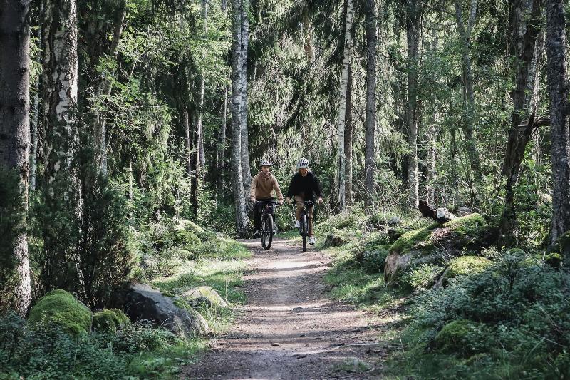 Högbo Brukshotell image