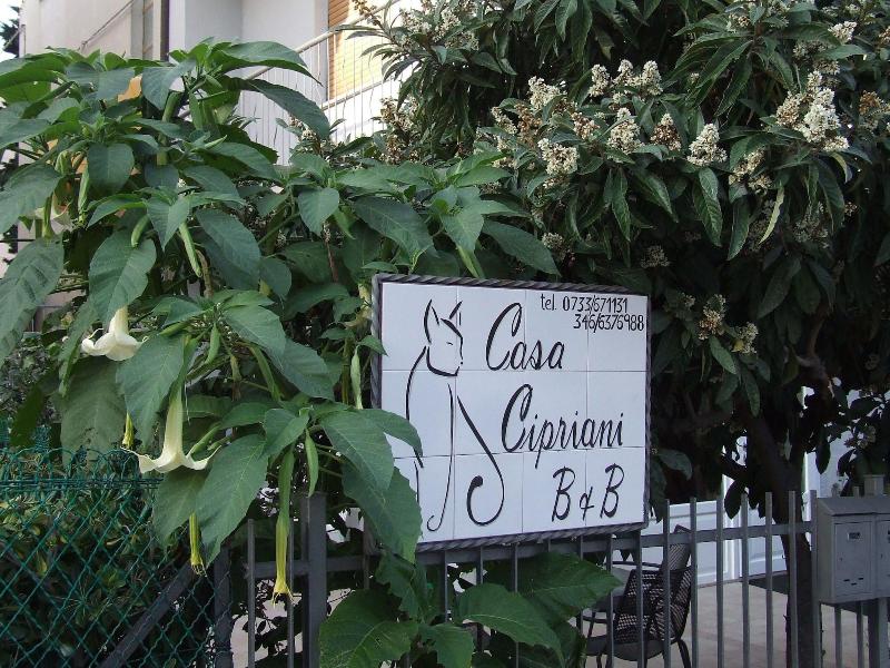Casa Cipriani image