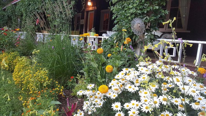 Wedgwood Manor And Glamping Retreat — general view