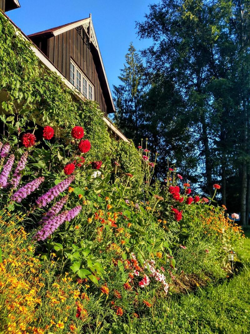 Wedgwood Manor And Glamping Retreat — general view