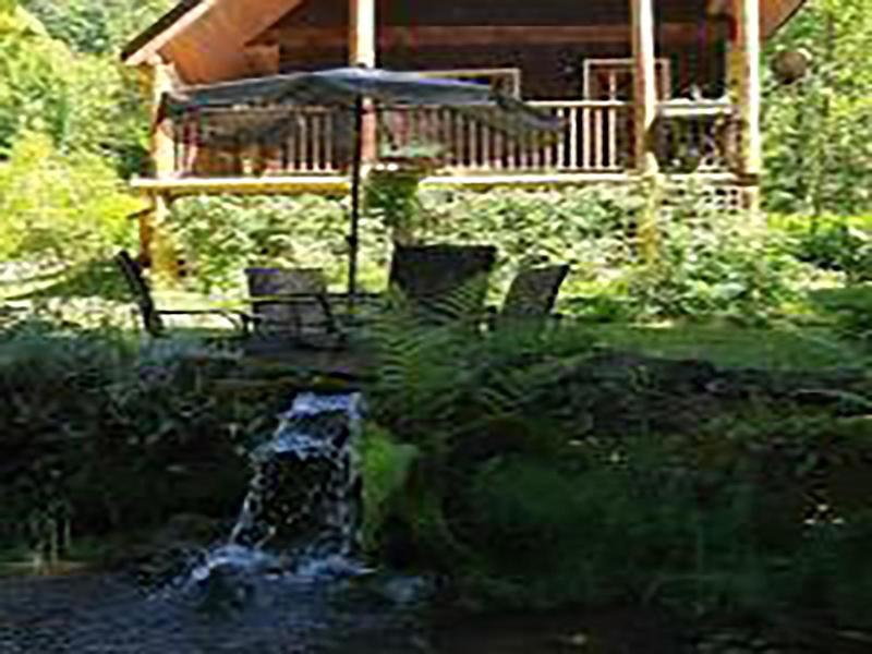 Wedgwood Manor And Glamping Retreat image