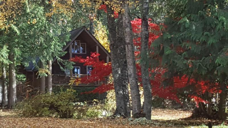 Wedgwood Manor And Glamping Retreat image