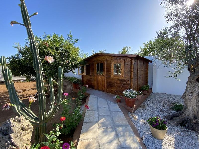 B&B Fellini image